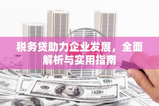 开原税务贷助力企业发展，全面解析与实用指南