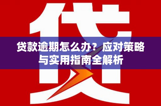 开原贷款逾期怎么办？应对策略与实用指南全解析