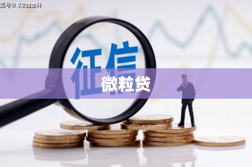 开原微粒贷