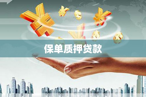 开原保单质押贷款