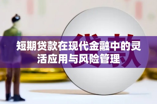 开原短期贷款在现代金融中的灵活应用与风险管理